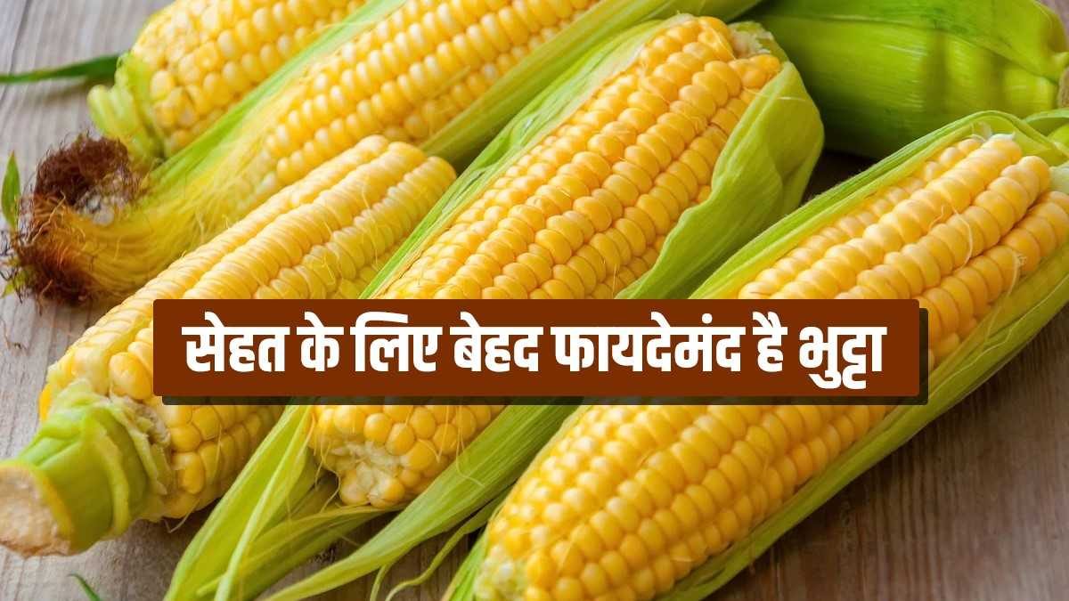 स्वादिष्ट लगने वाला भुट्टा सेहत के लिए बेहद फायदेमंद