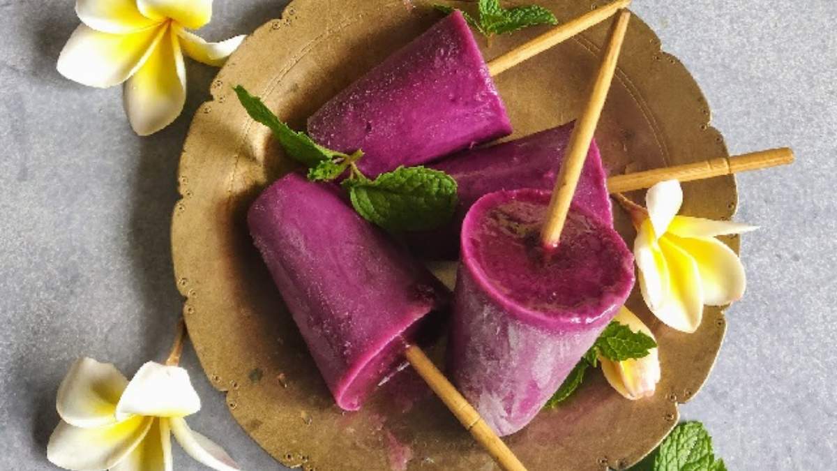 Blueberry/Jamun Kulfi Recipe: गर्मियों में घर पर आसानी से बनाएं ब्लूबेरी/जामुन कुल्फी, खाएंगे तो भूल जाएंगे दूसरा फ्लेवर…