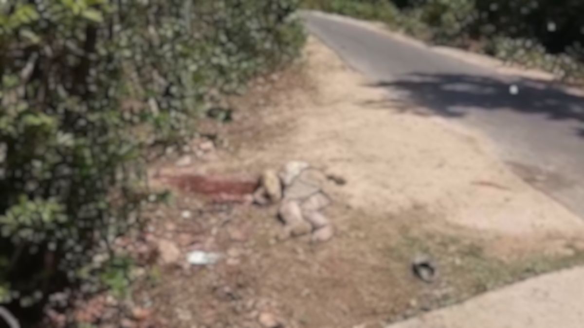 24 घंटे में डबल मर्डर की वारदातः हिस्ट्रीशीटर बदमाश को पत्थर से कुचल कर उतारा मौत के घाट, दो हत्या से फैली सनसनी