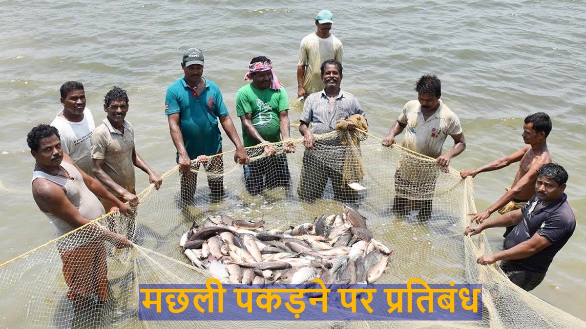 छत्तीसगढ़ में अब मछली पकड़ने पर होगी कार्रवाई, 15 अगस्त तक रहेगा प्रतिबंध, आदेश जारी…