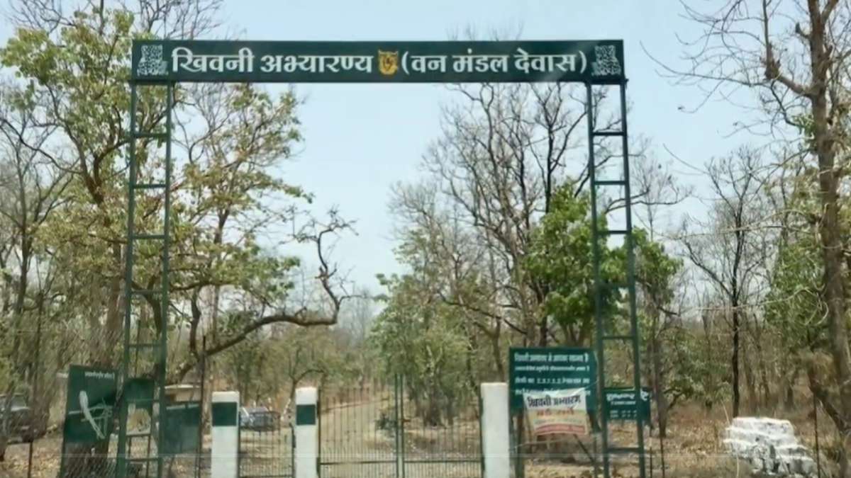 वन विभाग के SDO और रेंजर पर गिर सकती है गाजः कार्रवाई के लिए BJP विधायक ने सीएम को लिखा पत्र