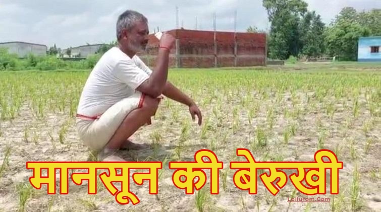 Deficient Rain Affect Paddy Sowing: छत्तीसगढ़ में मानसून की बेरुखी, सिर्फ 55 मिमी औसत वर्षा दर्ज