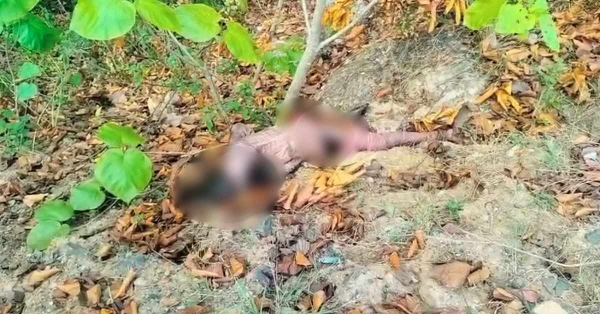 मंडला के जंगलों में महिला की मिली लाश: 10 से 15 दिन पुराना बताया जा रहा शव, हत्या-आत्महत्या या किसी जानवर ने बनाया शिकार, जांच जारी…