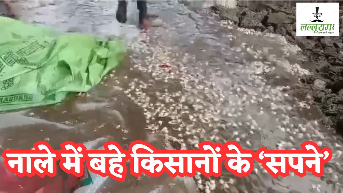 नाले में बहा किसानों का लहसुन: एक झटके में खत्म हो गई अन्नदाताओं की मेहनत, Video देख भर आएगी आखें