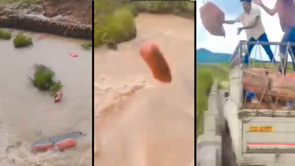 VIRAL VIDEO : एक तरफ बारिश की वजह से गल रही फसल, दूसरी ओर मंडी में नहीं मिल रहे खरीदार, नदी में मिर्ची से भरी बोरियां फेंकने को मजबूर हुए किसान…