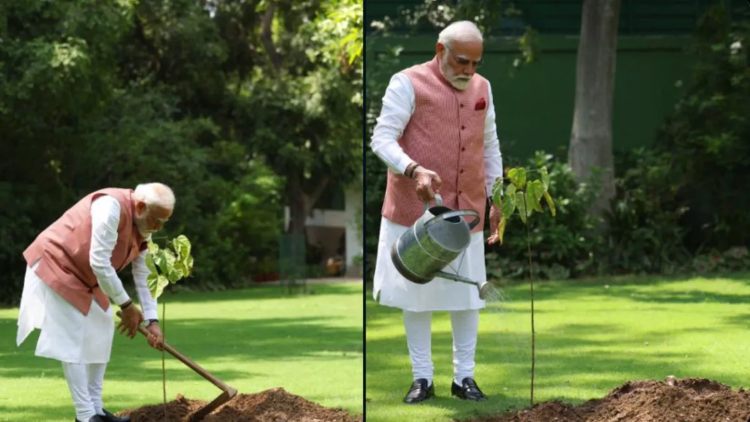 ‘सौभाग्य मिला है…’ पीएम मोदी ने प्रधानमंत्री आवास में लगाया ‘सिंदूर’ का पौधा, फोटो पोस्ट कर बताया- वीरांगनाओं ने दिया तोहफा