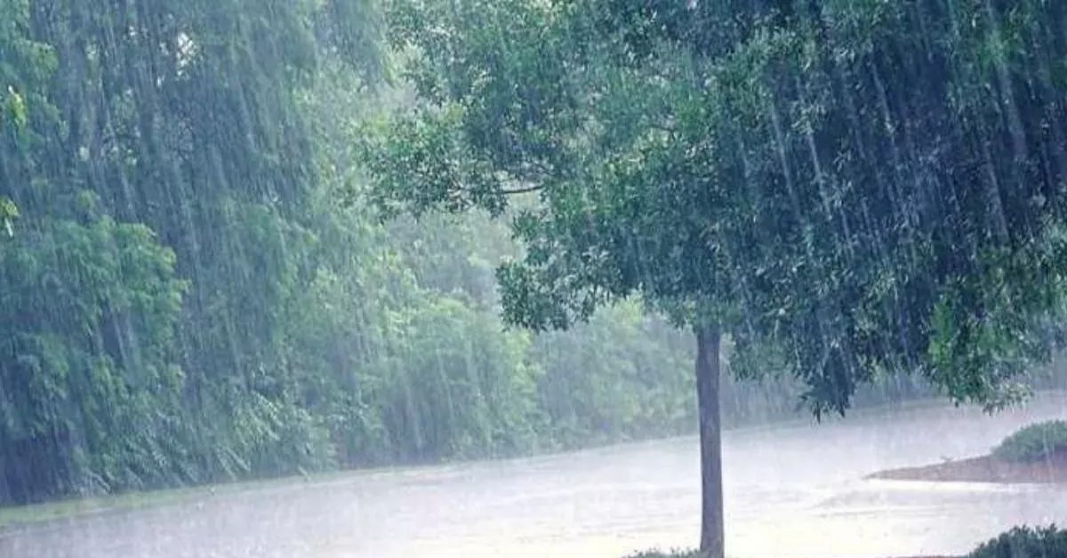 UP Rain Alert : उत्तर प्रदेश में फिर से बरसेंगे बादल, 45 से ज्यादा शहरों में बारिश अलर्ट, IMD ने किया अलर्ट