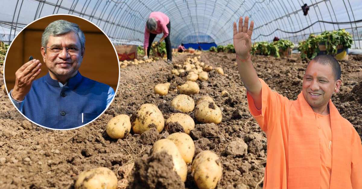 यूपी को मिली एक और बड़ी सौगात : आगरा में बनेगा अंतरराष्ट्रीय आलू केंद्र, मोदी कैबिनेट ने दी मंजूरी
