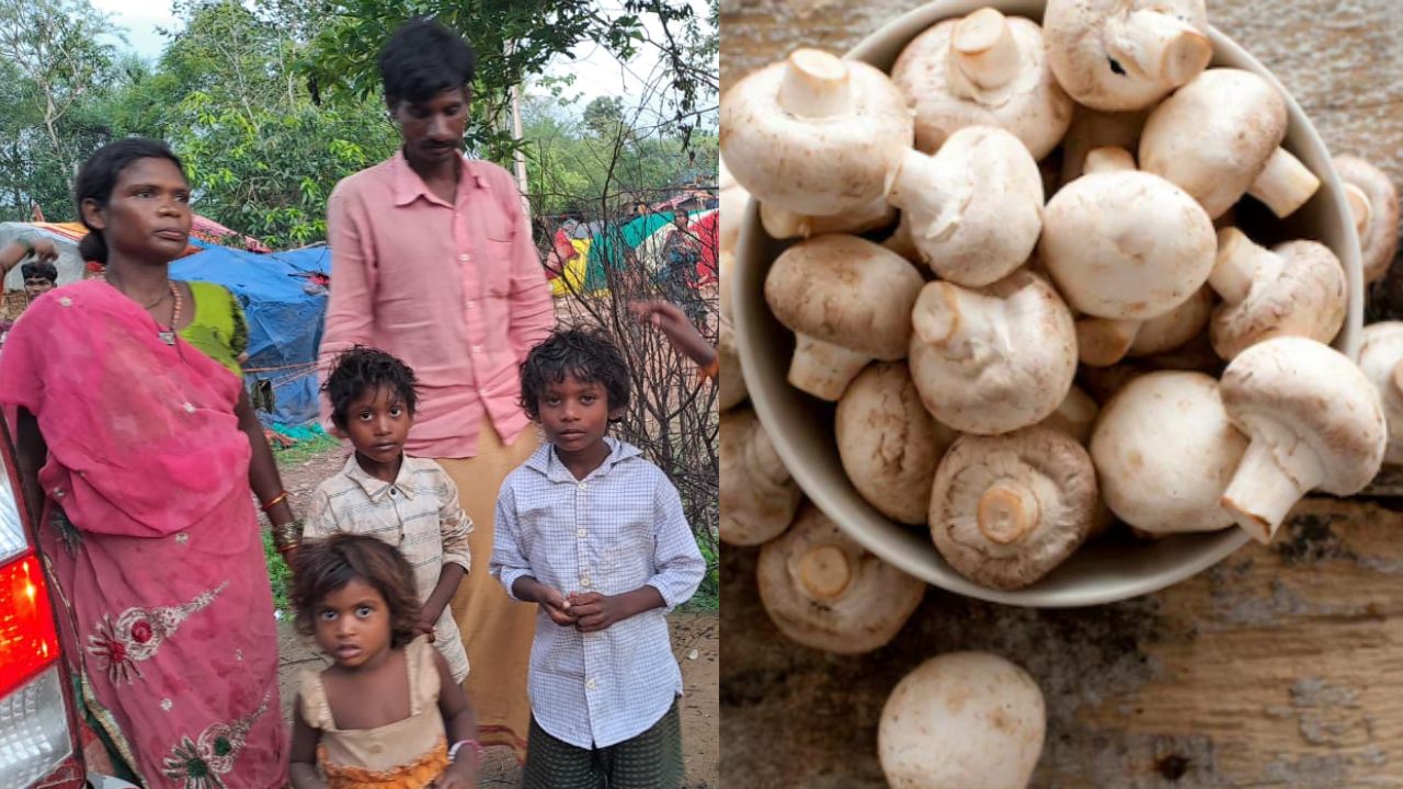CG News : मशरूम खाने के बाद परिवार के 4 लोग पड़े बीमार, अस्पताल में इलाज जारी