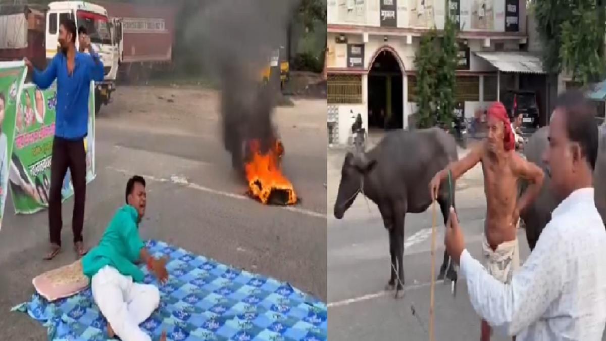 Bihar Bandh: हाजीपुर में राजद कार्यकर्ता ने सड़क पर लेटकर किया प्रदर्शन, भैंसों ने भी लिया हिस्सा! देखें VIDEO