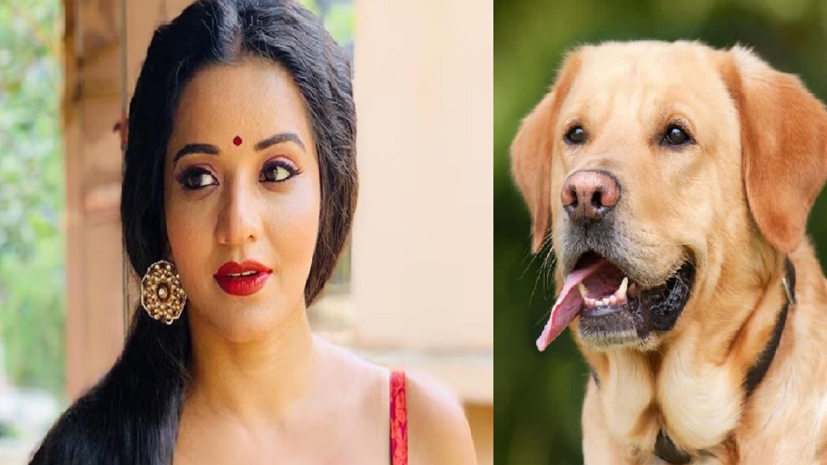 मोनालिसा बनीं ‘सोनालिका ट्रैक्टर’! पटना के बाद मोतिहारी में लिखी गई फर्जीवाड़े की नई स्क्रिप्ट, प्रशासन में मचा हड़कंप