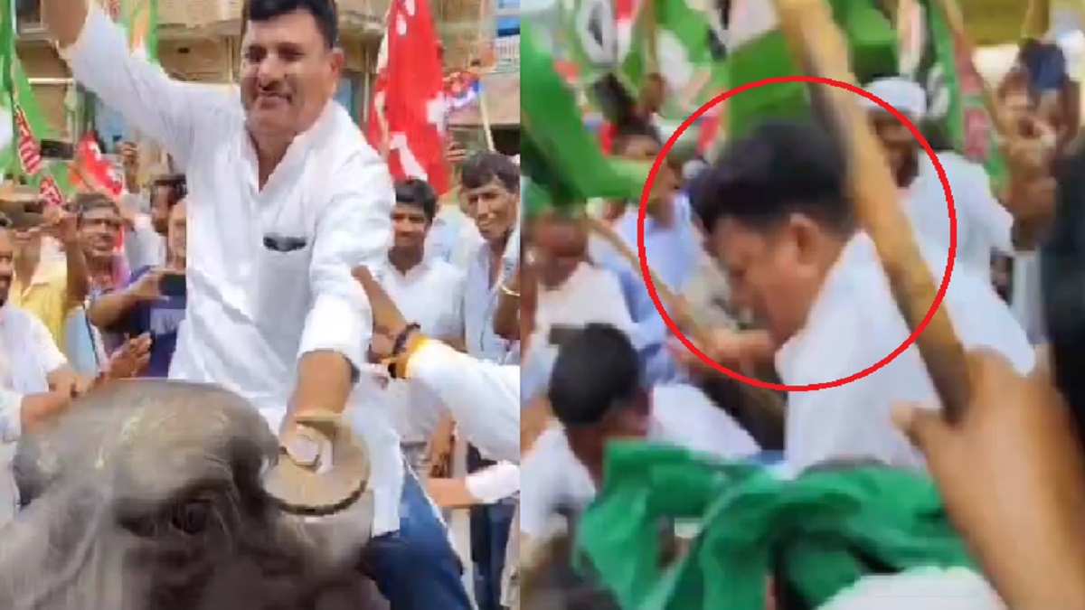 OMG! विधायक जी के बैठते ही बेकाबू हुई भैंस, राजद नेता को जमीन पर धड़ाम से पटका! VIDEO वायरल