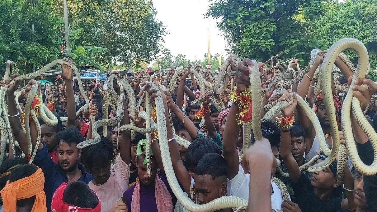 Samastipur Snake Mela: बिहार के समस्तीपुर में नागपंचपी पर लगता है अद्भुत मेला, सांपों को मुंह में पकड़कर करतब दिखाते हैं लोग