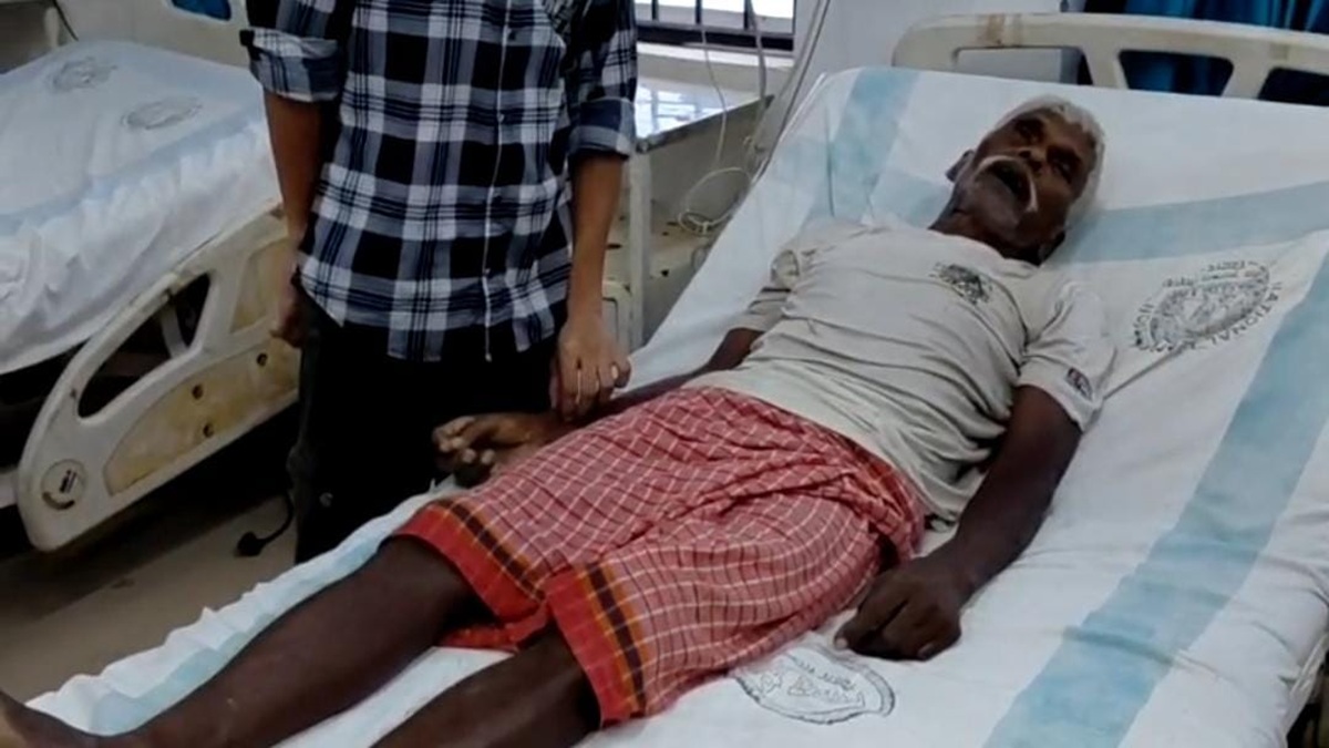 Snakebite Sasaram : सर्पदंश का कहर, खेत में काम कर रहे किसान और सो रही बच्ची की मौत