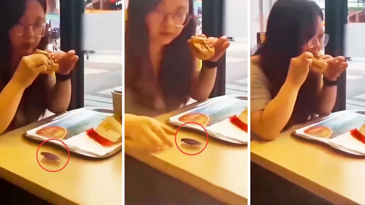 Viral Video: Burger के साथ जिंदा कॉकरोच खा गई ये लड़की!