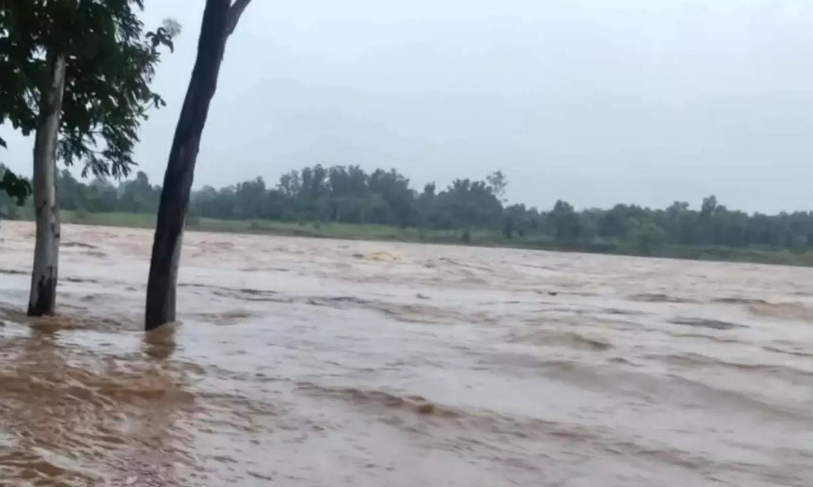 ओडिशा में बाढ़ की चेतावनी, प्रमुख नदियां खतरे के निशान के ऊपर