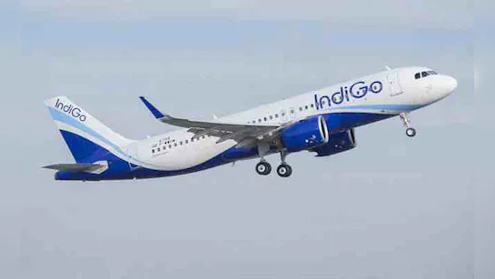 IndiGo की फ्लाइट से फिर हुई पक्षी की टक्कर, दिल्ली के बजाए पटना में करनी पड़ी इमरजेंसी लैंडिंग, बड़ा हादसा टला