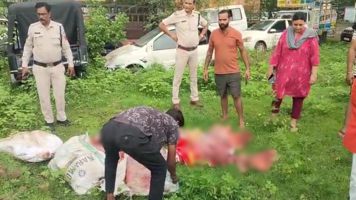 राजधानी में नहीं थम रहे गौ हत्या और तस्करी के मामले: बजरंग दल ने पकड़ी गौ मांस से भरी गाड़ी, आरोपी फरार  