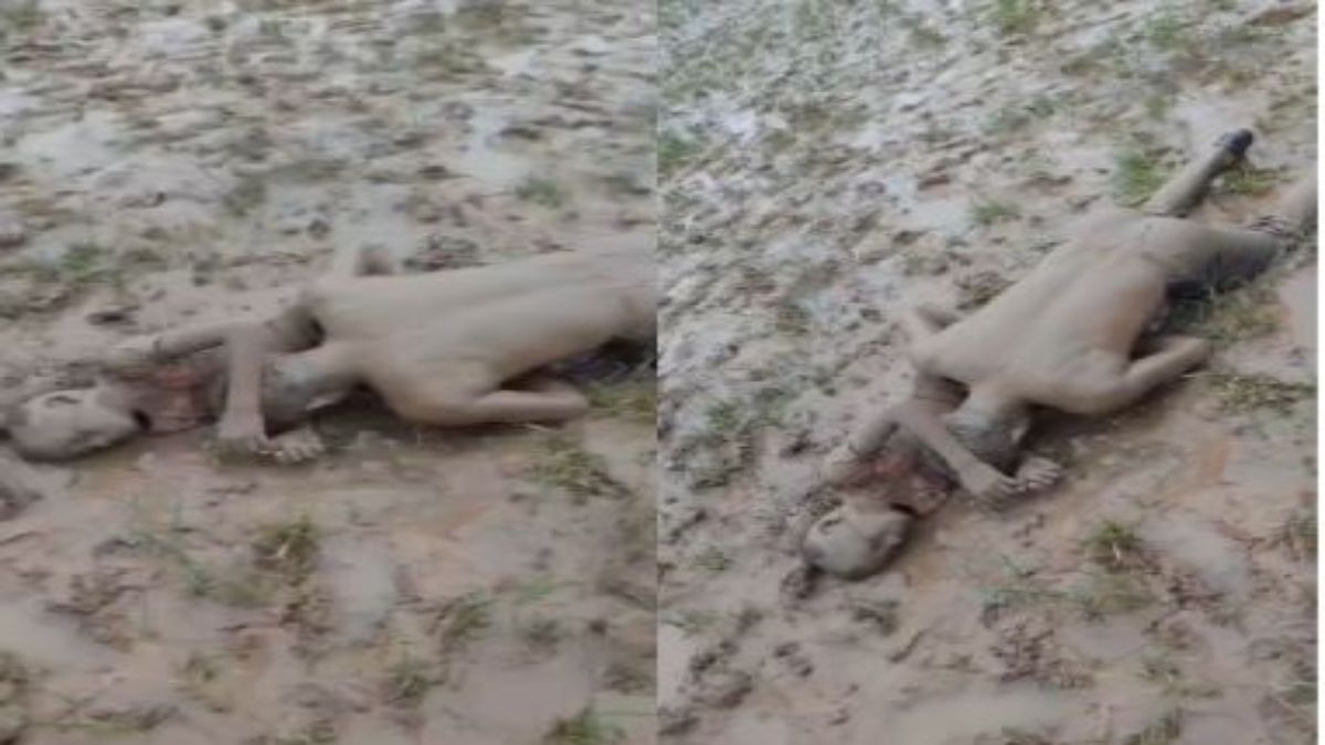 बड़ा हादसाः नदी का जल स्तर अचानक बढ़ा, खेत में डूबने से बाप-बेटे की मौत, एक-दूसरे से लिपटे मिले शव