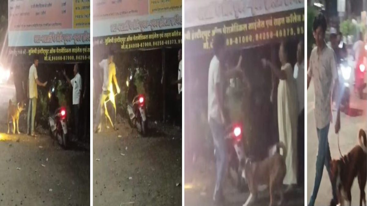 घर के बाहर पालतू कुत्ते की पॉटी को लेकर विवादः युवक ने बुजुर्ग दंपति की गाड़ी को पत्थर से मारा, Video Viral