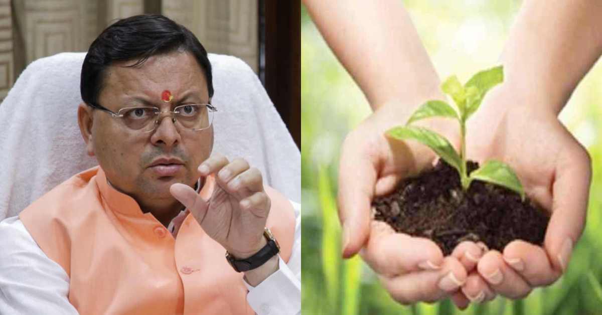 पौधा लगाओ, पैसा खाओ..! धामी सरकार ने 1 पौधा लगाने में खर्च कर दिए 4,608 रुपए, आखिर किसने-कितना पैसा खाया है?