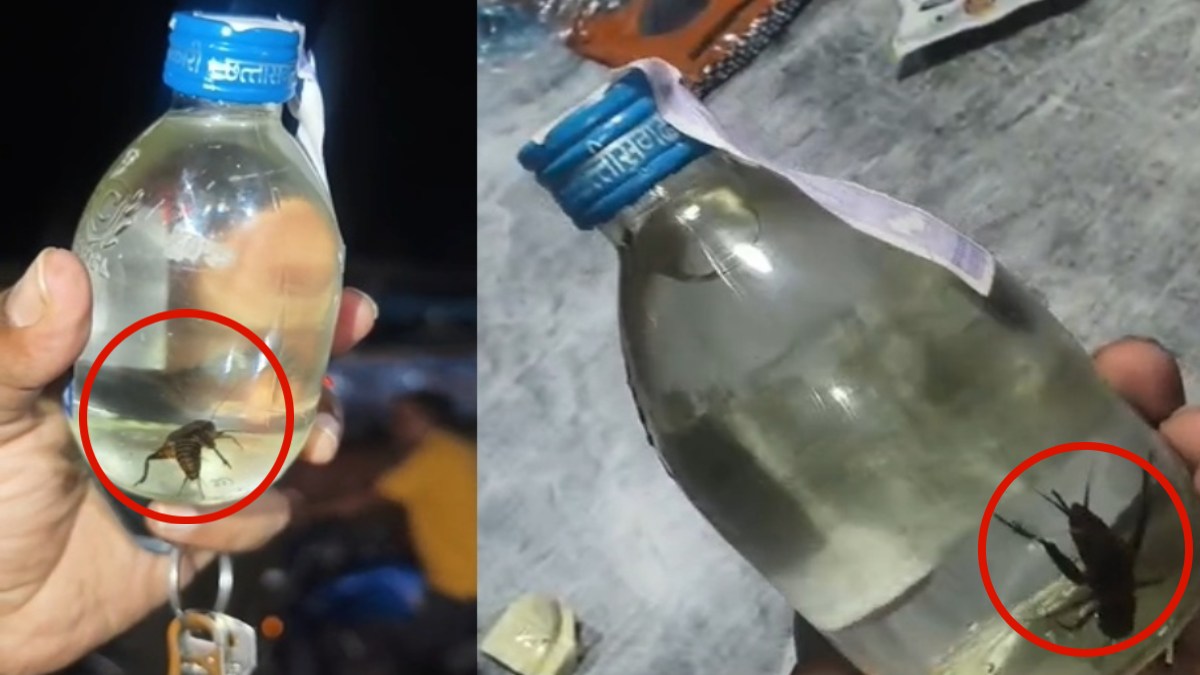 Video: शराब की बोतल में मिला कीड़ा, दुकान के सेल्समैन ने लौटाने से किया इनकार, मदिरा प्रेमियों ने मचाया हंगामा