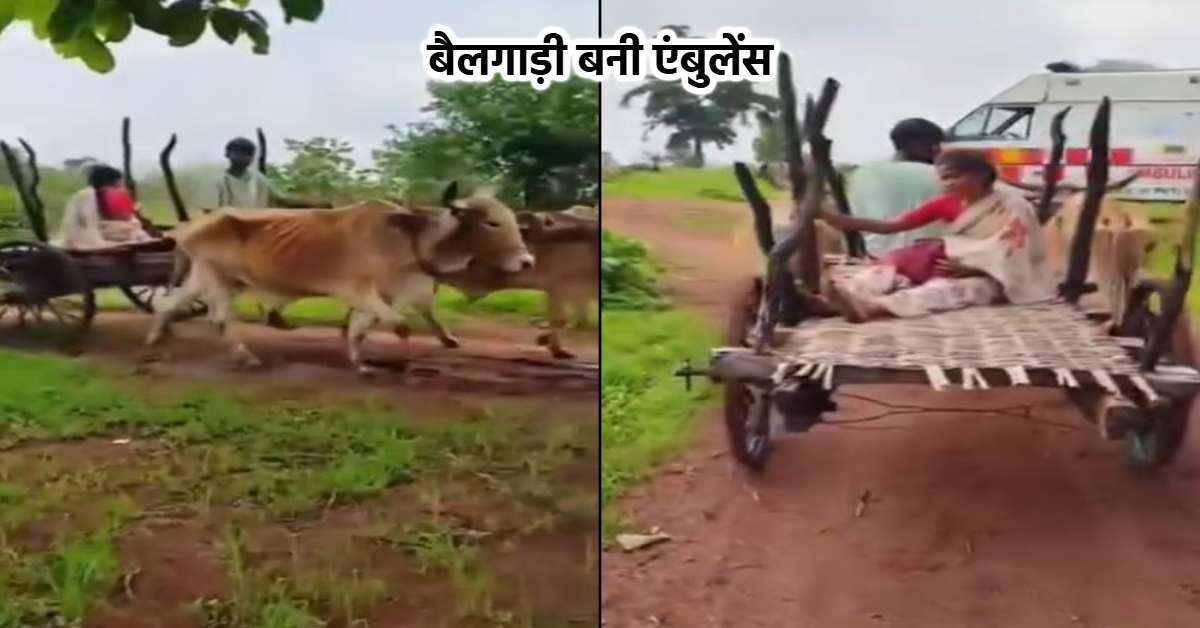 सिस्टम की शर्मनाक तस्वीर: कीचड़ भरे रास्ते ने रोकी एंबुलेंस, प्रसव पीड़ा से कराहती रही महिला, व्यवस्थाओं के अभाव में गांव में दिया बच्चे को जन्म, फिर बैलगाड़ी से एंबुलेंस तक पहुंचाया