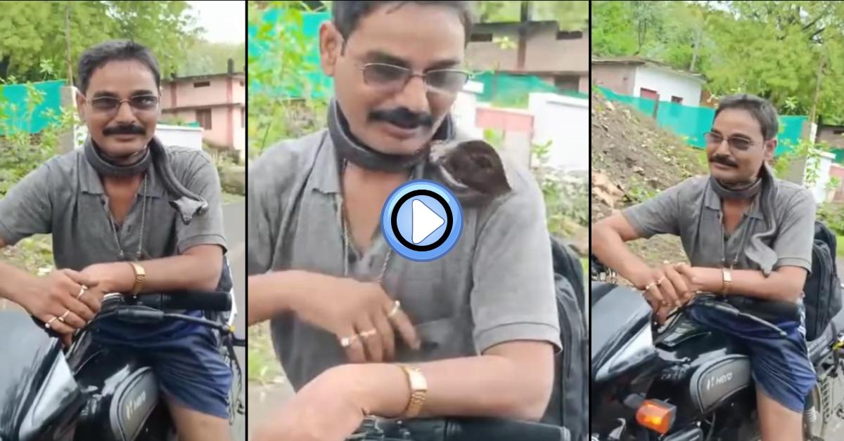 दिखावा पड़ा भारी: गले में जहरीला सांप लटकाकर घूम रहा था सर्प मित्र, घर लौटते समय डसा, इलाज के दौरान हो गई मौत, देखें VIDEO