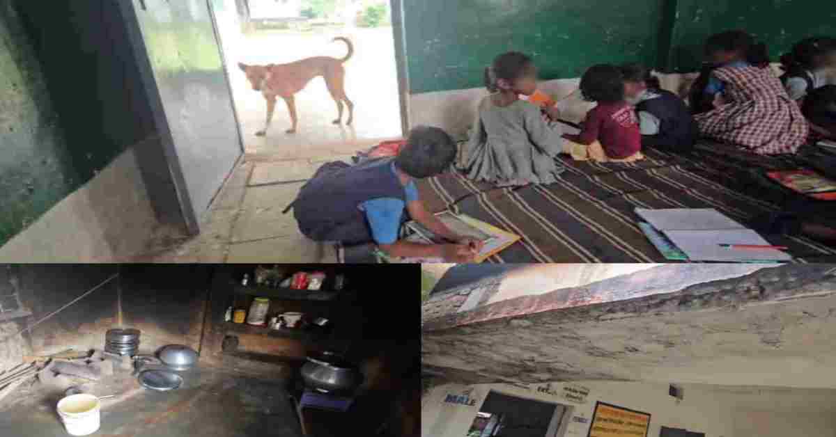 क्लासरूम में कुत्ते, टपकती छत… शहडोल के सरकारी स्कूल की बदहाली, एक कमरे में 62 छात्र, काल कोठरी से कम नहीं रसोई, खुले में शौच जाने को मजबूर बच्चे-शिक्षक