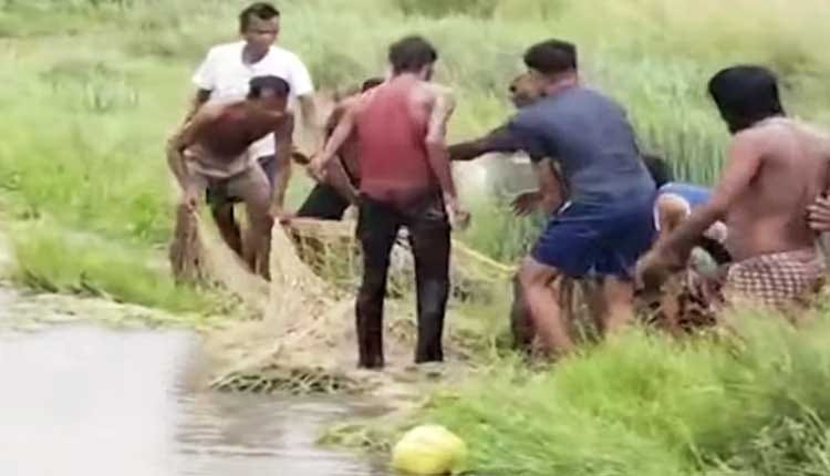 भारी बारिश के कारण केंद्रापड़ा गाँव में घुसा मगरमच्छ