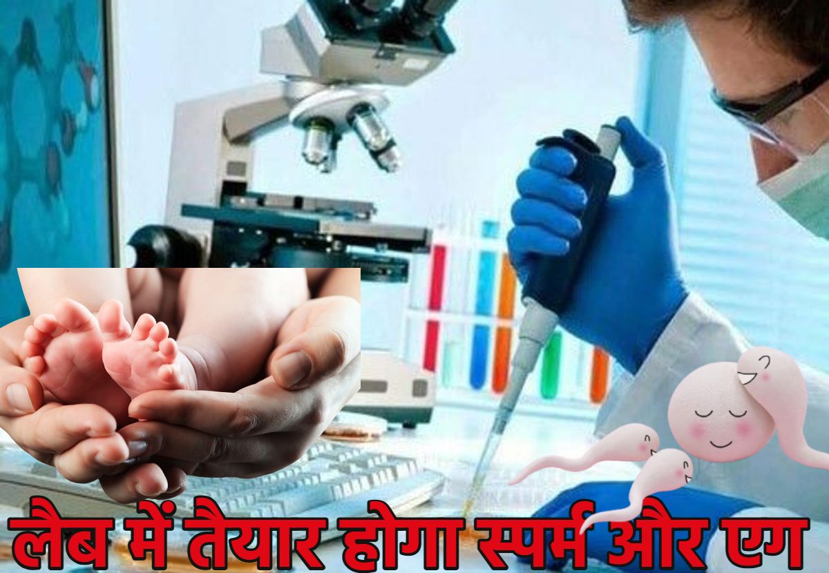 अब सूनी नहीं रहेगी कोई गोद… लैब में तैयार होगा स्पर्म और एग, त्वचा व रक्त कोशिकाओं से बनेंगी यौन कोशिका, पढ़े ये खबर