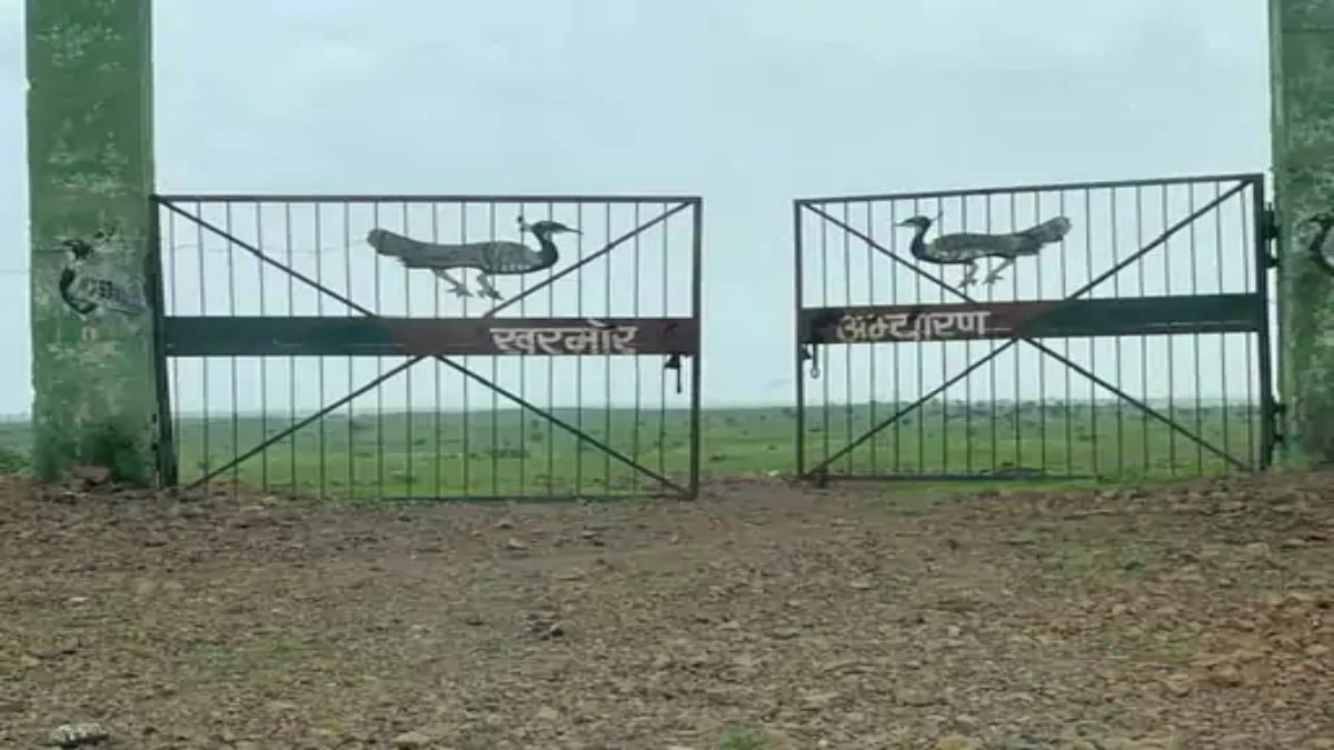 खरमोर अभयारण्य के लिए डीनोटिफिकेशन जारी: 14 गांवों के किसानों को बड़ी राहत, 215.2872 वर्ग किमी राजस्व भूमि मुक्त