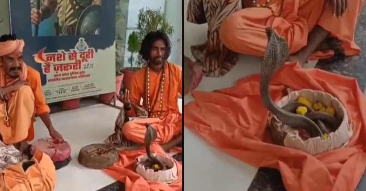आस्था की आड़ में मौत का खेलः नाग-नागिन का जोड़ा लेकर घूम रहे थे सपेरे, दर्शन करने पहुंचे युवक के साथ हो गया खौफनाक कांड