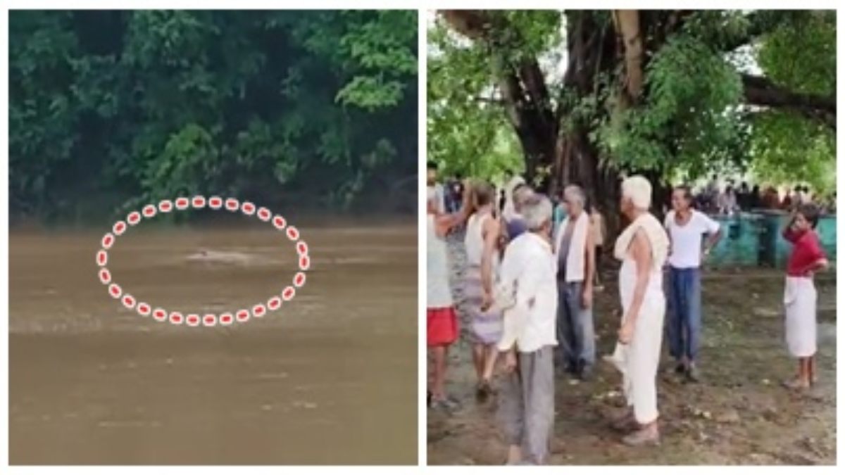 महिला को जबड़े में दबाकर पानी में खींच ले गया मगरमच्छ, फिर जो हुआ… देखकर लोगों के उड़े होश 