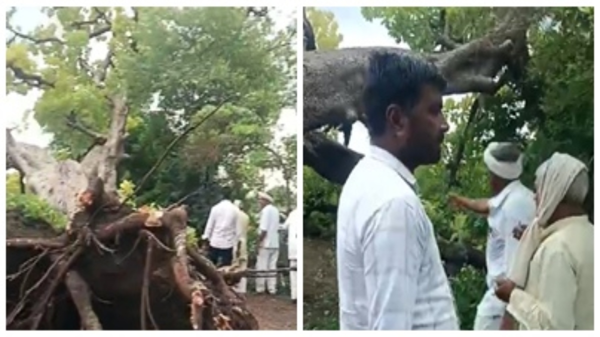 काल के गाल में समाया युवक: अंतिम संस्कार के दौरान बड़ा हादसा, पेड़ गिरने से एक की मौत, कई घायल 