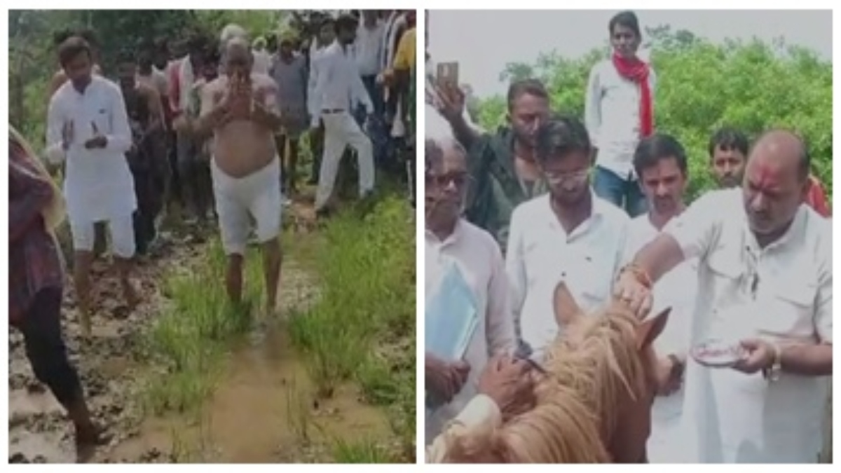 कांग्रेसियों का अर्धनग्न सत्याग्रह: कीचड़ युक्त सड़क में की धान की रोपाई, घोड़े और बैल को सौंपा ज्ञापन 
