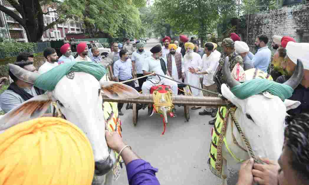 पंजाब सरकार ने  बेजुबानों के अधिकारों की रक्षा के लिए उठाया  महत्वपूर्ण कदम,  विधानसभा में ‘जानवरों के प्रति क्रूरता रोकथाम संशोधन विधेयक 2025’ पारित