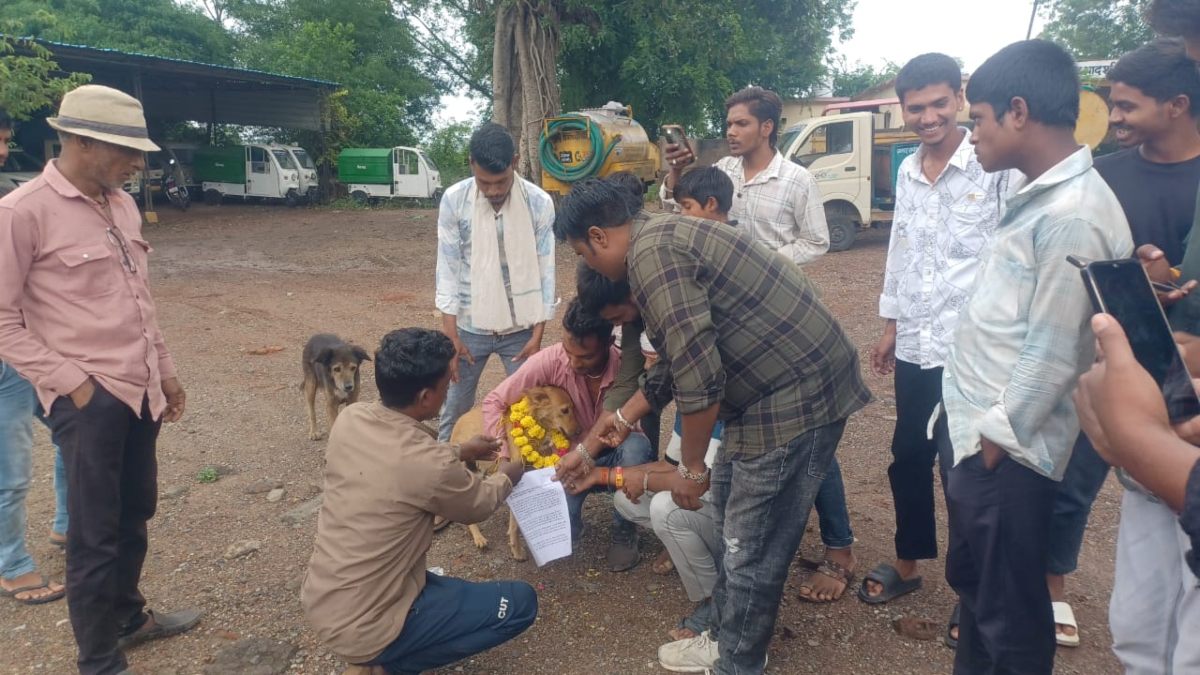 अनूठा विरोध: नगर परिषद CMO ने नहीं सुना, तो लोगों ने कुत्ते को माला पहनाकर दे दिया ज्ञापन 