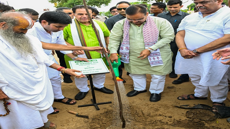 Rajasthan News: राजस्थान में हरियाली तीज पर मुख्यमंत्री ने लगाया पौधा, कहा- 10 करोड़ पौधों का लक्ष्य, हर नागरिक एक पेड़ मां के नाम लगाए
