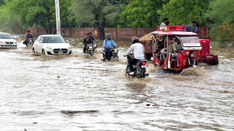 Rajasthan News: राजस्थान में बरसात बनी आफत; आधे से ज्यादा इलाकों में जलभराव, 6 जिलों में रेड अलर्ट