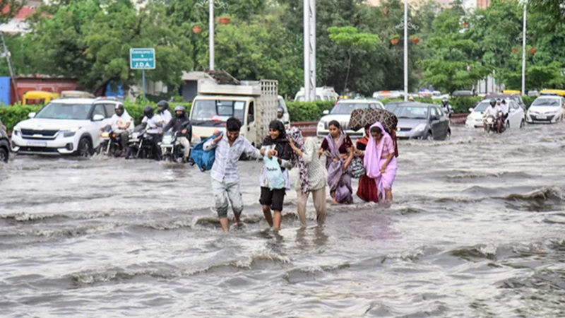 Rajasthan Weather Update: भारी बारिश से कई गांव टापू बने, बीकानेर-शेखावाटी में अलर्ट जारी