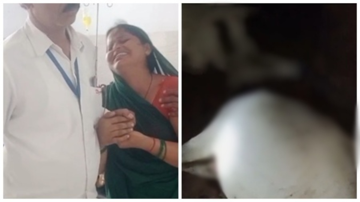 शहडोल में कुदरत का कहर: आकाशीय बिजली गिरने से 15 साल के बच्चे की मौत, इधर 6 मवेशियों की भी गई जान   
