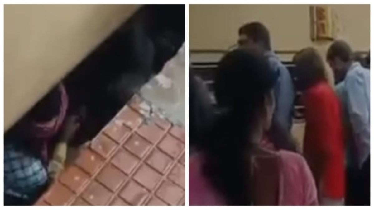 ट्रेन और प्लेटफार्म गैप के बीच गिरी महिला, चढ़ने के दौरान फिसला पैर, यात्रियों ने ऐसे बचाई जान  