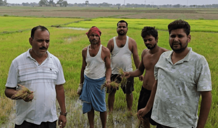 Bihar News: 400 बीघे में रोपनी की तैयारी पर फिरा पानी, बिचड़े हुए नष्ट, गांव में मचा हड़कंप