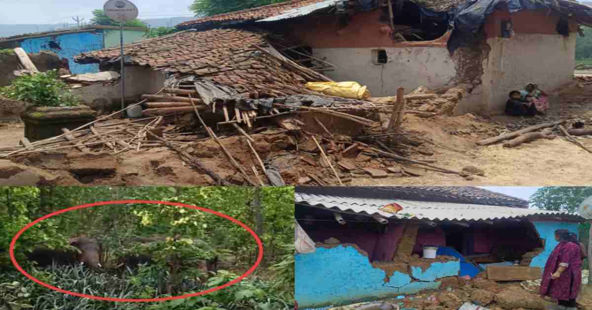 शहडोल में हाथियों का उत्पात: हरदी बीट समेत कई गांवों में की तोड़फोड़, सहमे हुए ग्रामीण रतजगा करने को मजबूर