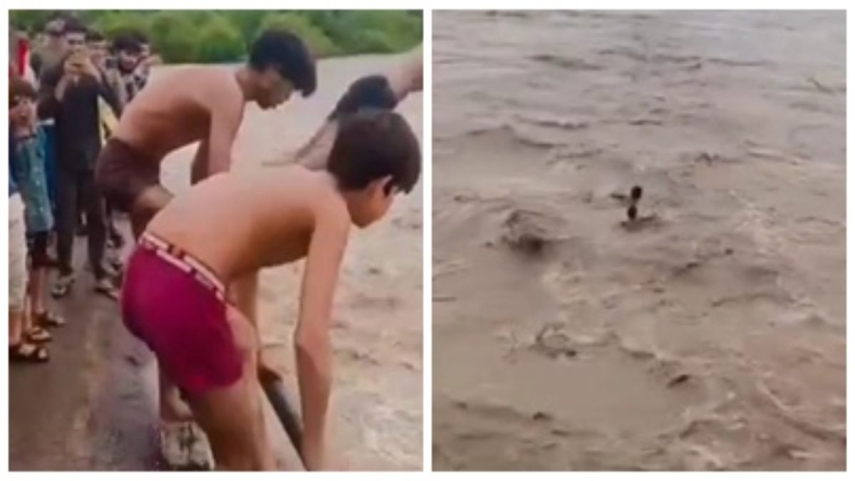 उफनती नदी में बच्चों की छलांग: सोशल मीडिया पर वायरल हुआ खतरनाक Video, देखकर उड़ जाएंगे होश 