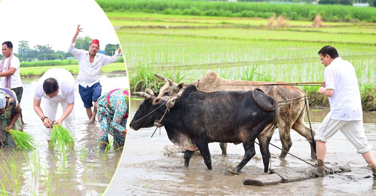 सीएम धामी बने किसान : अपने खेत में की धान की रोपाई, किसानों को लेकर कही ये बात