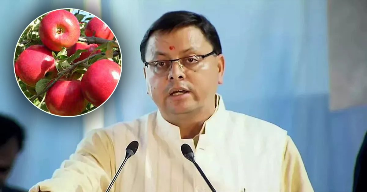 CM धामी ने सेब उत्पादक किसानों को दिया तोहफा, बेहतर पैकेजिंग के लिए यूनिवर्सल कार्टन का वितरण शुरू