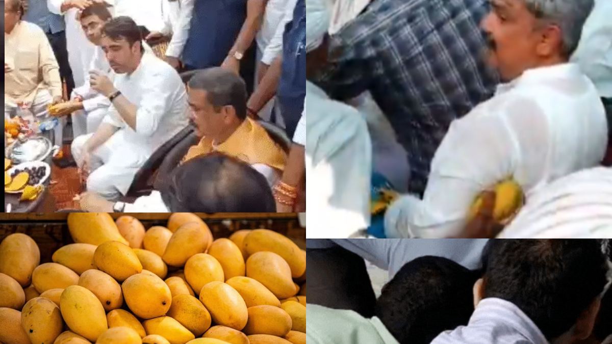 रालोद की ‘मैंगो पार्टी’ में आम की लूट, जेबों में आम भरकर भागे कार्यकर्ता, धर्मेंद्र प्रधान और जयंत चौधरी को मिले एक-एक आम