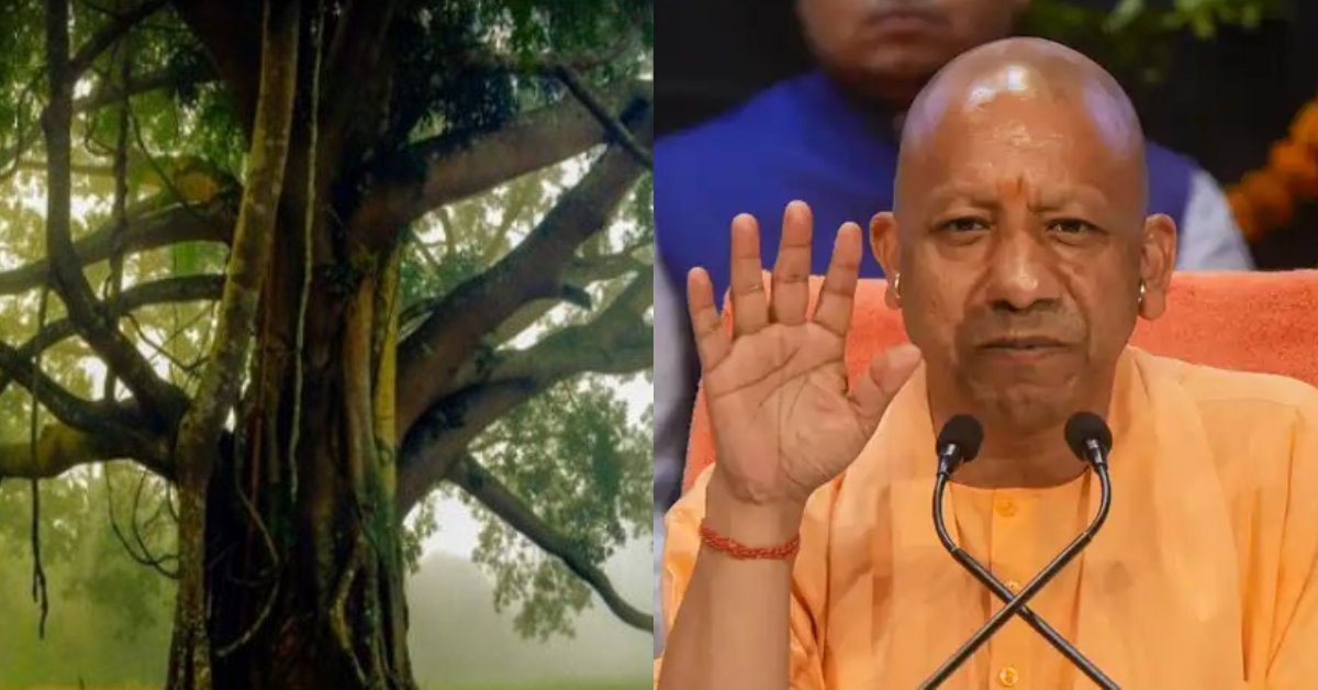 948 विरासत वृक्षों को संवारेगी यूपी सरकार : CM योगी का बड़ा ऐलान, कहा- 11 जिलों में तैयार होगी विरासत वृक्ष वाटिका